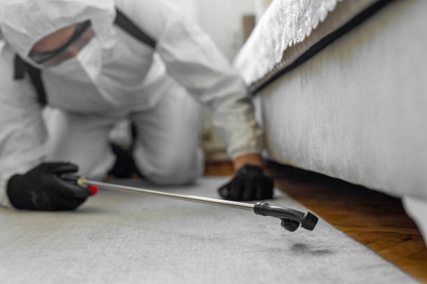 Professional Bed Bug Control technician working in Richmond County County, VA